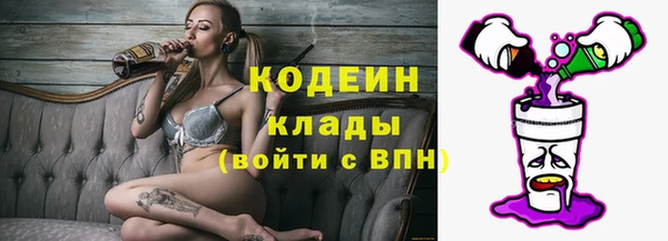 шишки Белокуриха