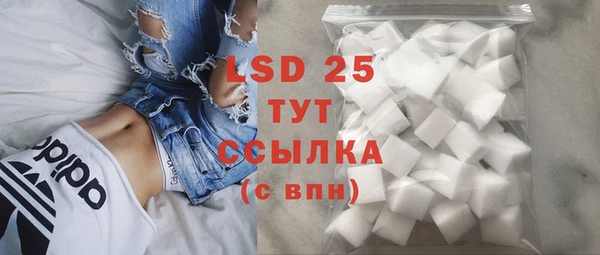 шишки Белокуриха