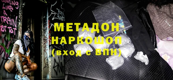 шишки Белокуриха