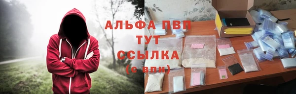 шишки Белокуриха