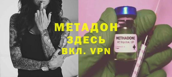 шишки Белокуриха