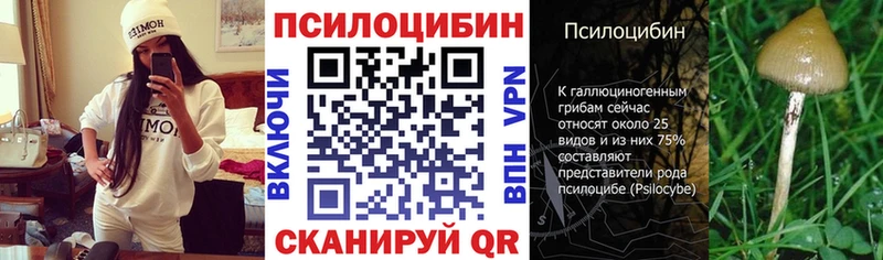 Псилоцибиновые грибы Cubensis  Кизилюрт 